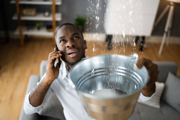 Best Carpet water damage restoration  in Agua Fria, NM