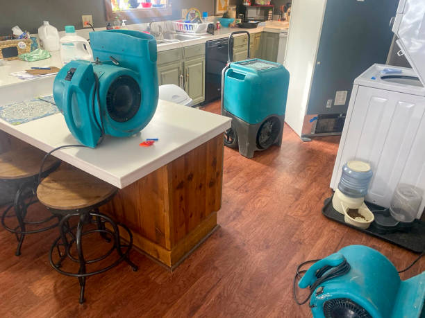 Best Carpet water damage restoration  in Agua Fria, NM