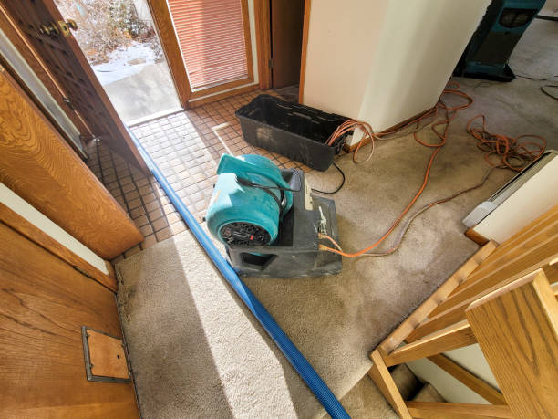 Best Flood restoration services  in Agua Fria, NM
